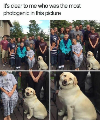 woles-s-clear-who-most-photogenic-this-picture