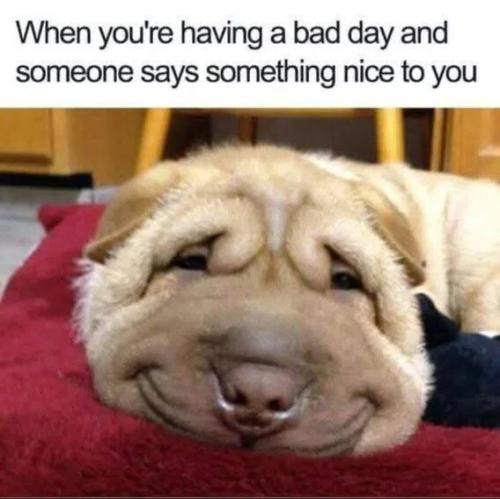 having-bad-day