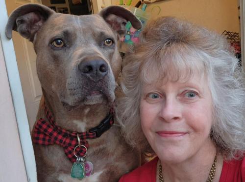 rescue dog day