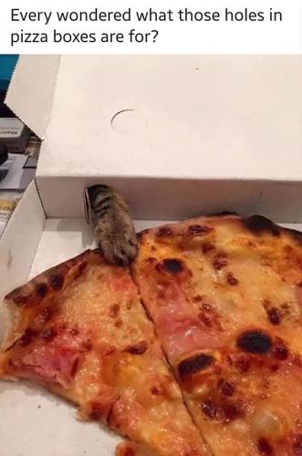holes-in-pizza-box