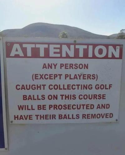 have-balls-removed