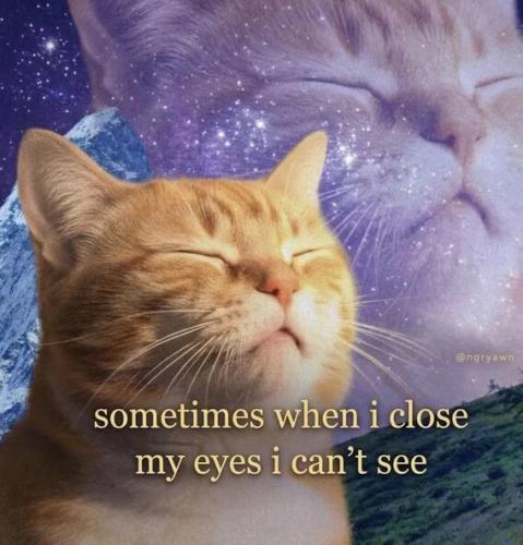5013