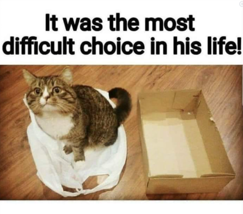 most-difficult-choice-his-life
