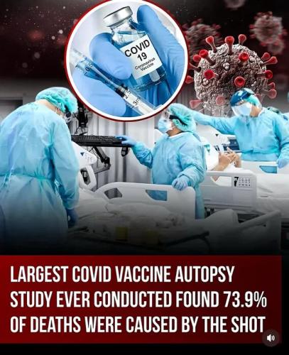 covid-study-74percent-killed-by-shots