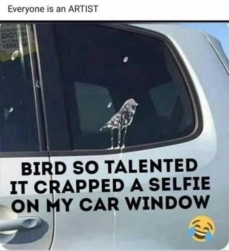 bird-crapped-selfie