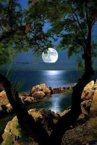 FB_IMG_1620772282033