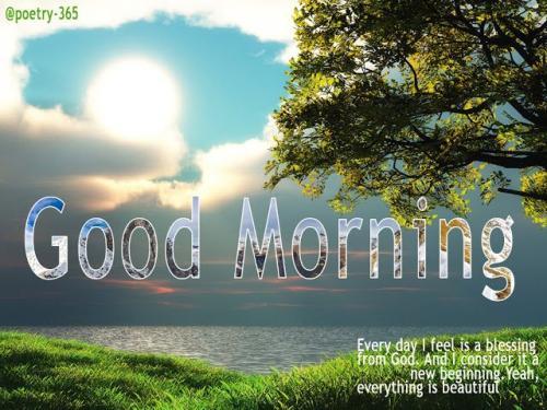 morning 2