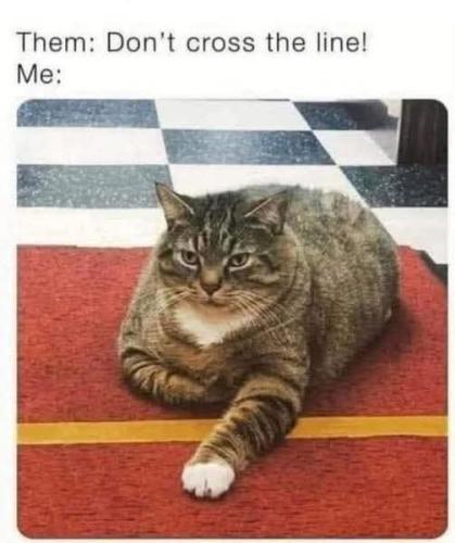 FB_IMG_1778507124019