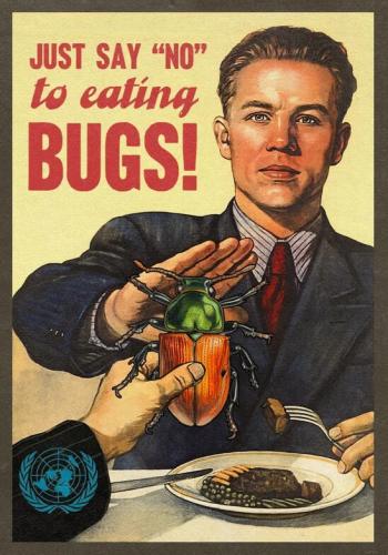 say-no-to-eating-bugs