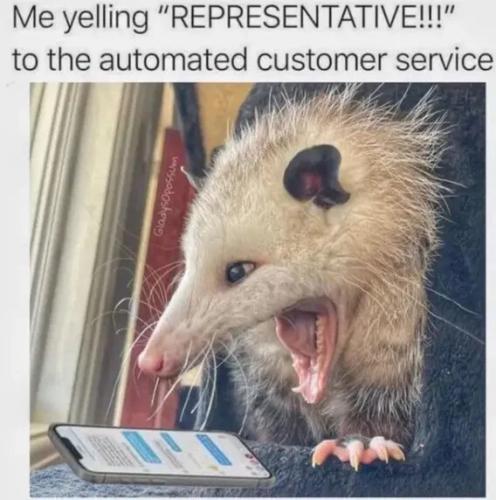 yelling-to-automated-cust-service