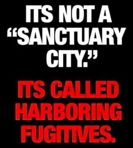 harbouring-fugitives