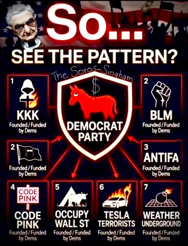 democrat terrorism