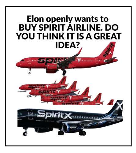 elon wants to buy