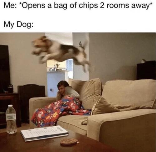 4999