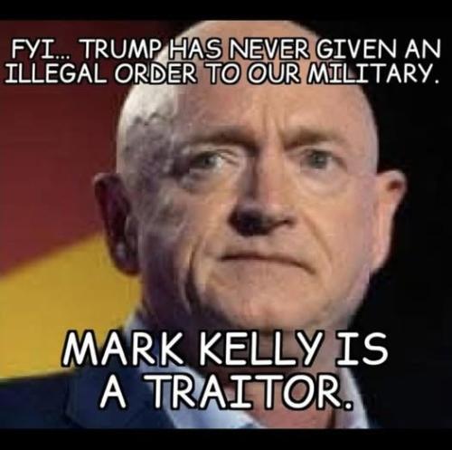 mark_kelly_seditious_traitor