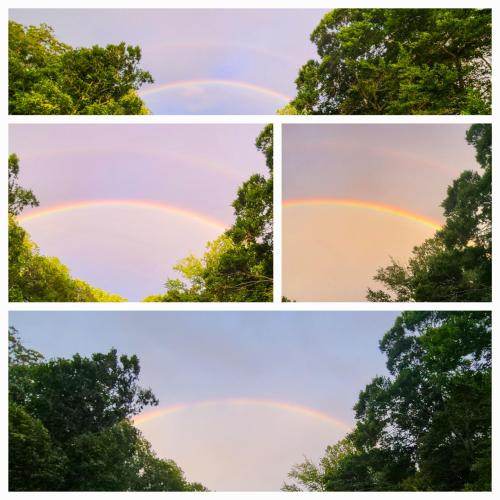 20260517_074048