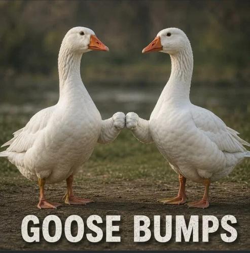goose-bumps