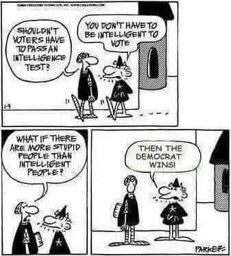 voters-intelligence-test