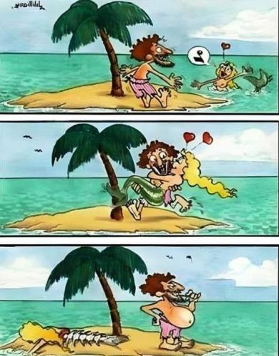 funny 599