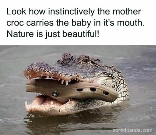 3704