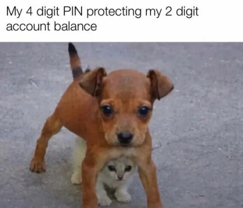4-digit-pin