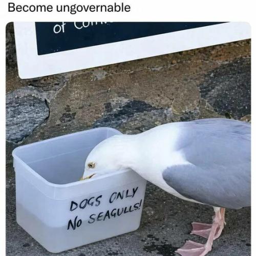 become-ungovernable