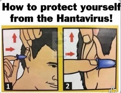 protect-from-hantavirus