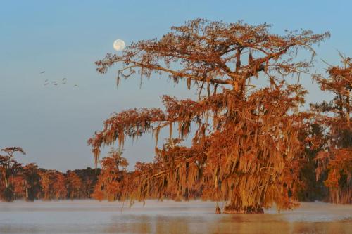 LA_Martin_DSC2930