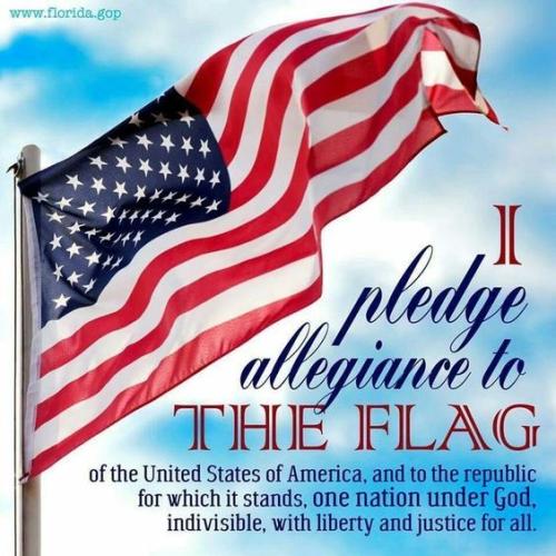 pledge 41