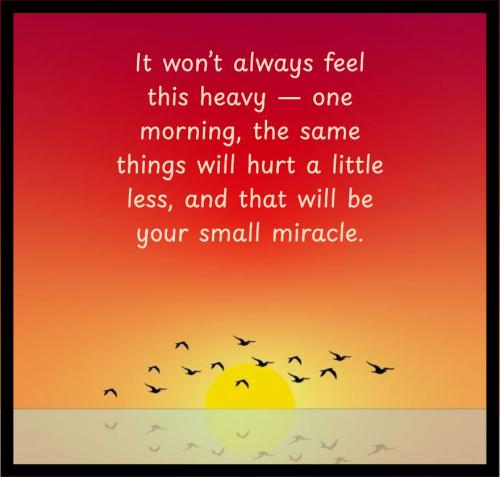 1C-Miracle