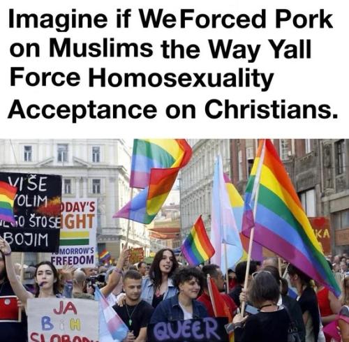 force-pork-homosexuality