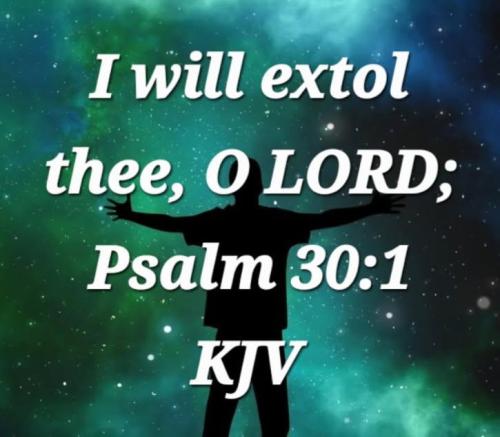 228944bd-f4b4-4322-9645-877e1312bede