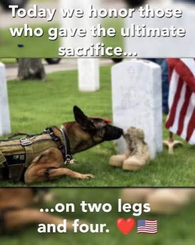 Thank you for your service