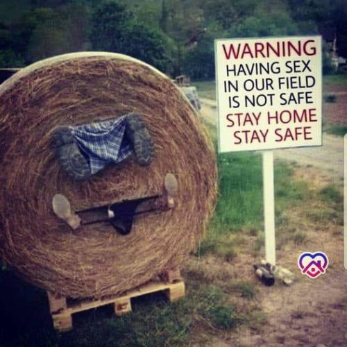 Sex