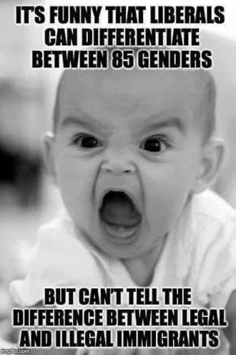 liberals-can-tell-genders-not-illegals