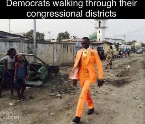 democrats-walking-thru-district