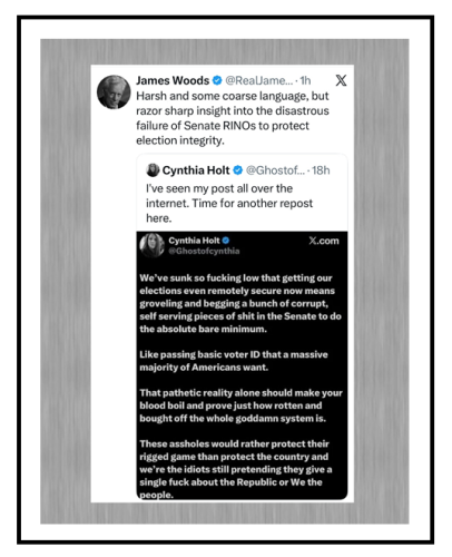 protect election integrity