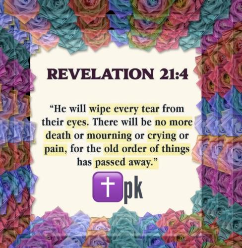 IMG_6828