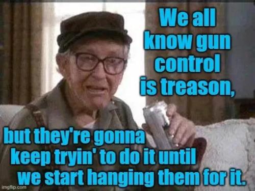 gun-control-is-treason