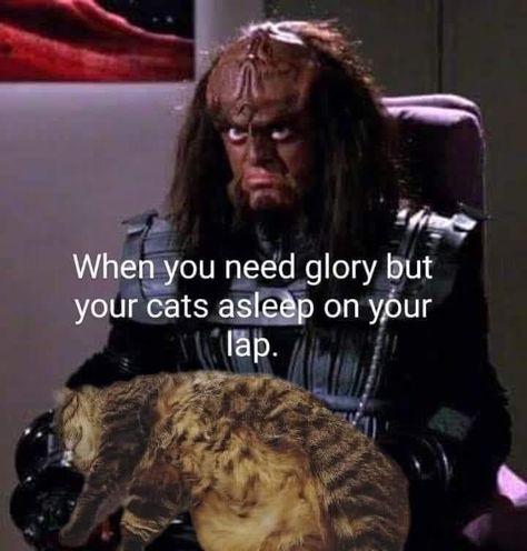 cathonor