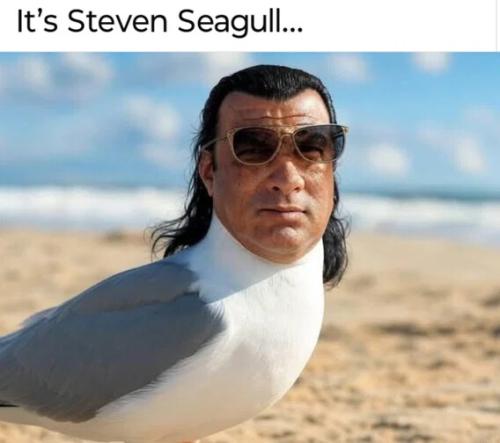3698