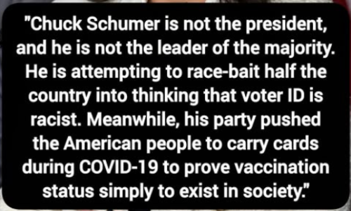 Schumer Is Nothing But