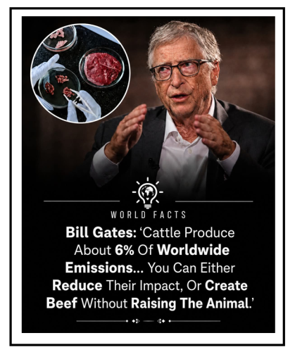 create beef