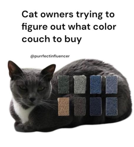 FB_IMG_1778654009409