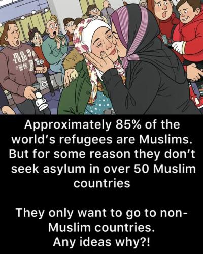 85percent-refugees-moslems