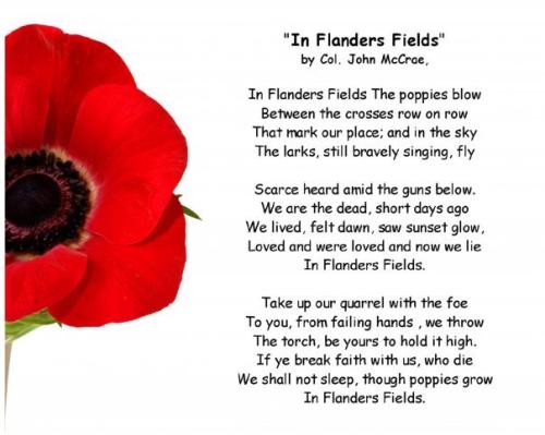 flanders-field