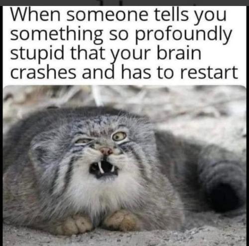 5EF666EE-43EC-4539-AC00-80A96C0B4701