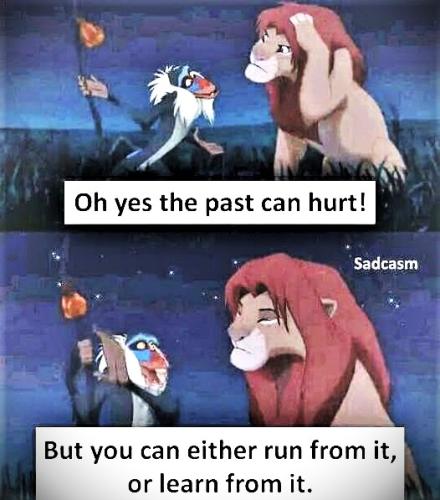 052826 - Run or Learn from past  (Lion King)