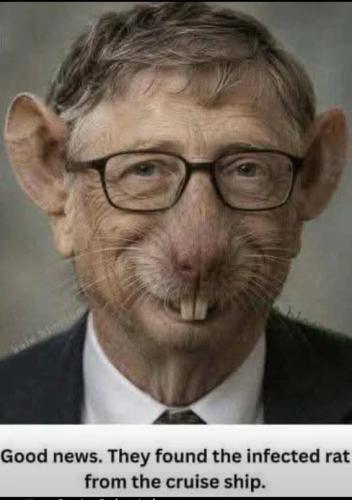 infected-rat
