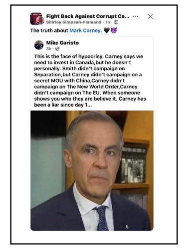 truth about carney